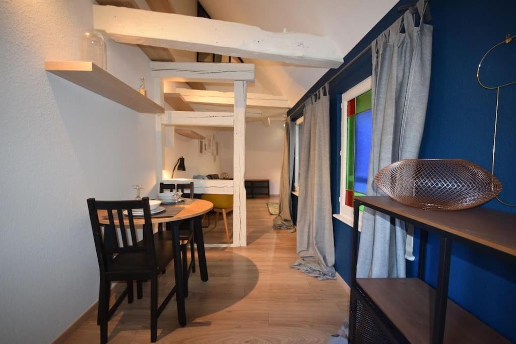 Le Studio Du Quai Des Pecheurs - Charmant Duplex Sur Les Quais Strasburgo Esterno foto