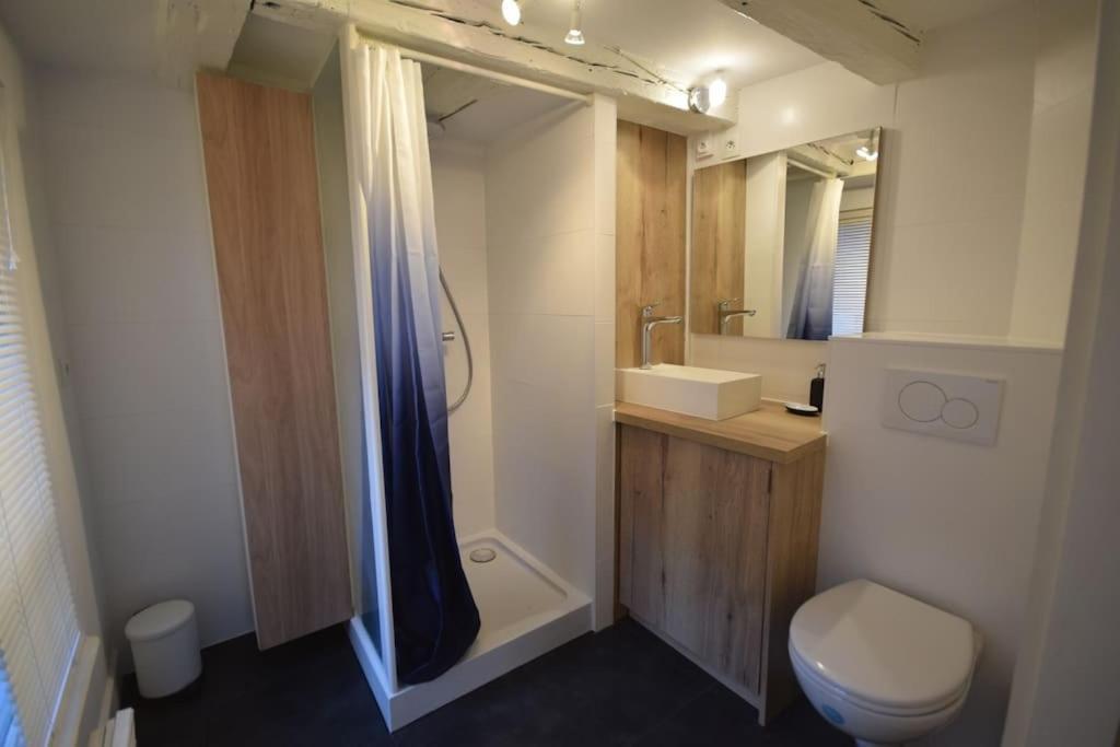 Le Studio Du Quai Des Pecheurs - Charmant Duplex Sur Les Quais Strasburgo Esterno foto