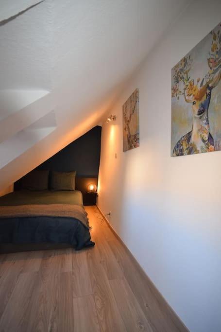 Le Studio Du Quai Des Pecheurs - Charmant Duplex Sur Les Quais Strasburgo Esterno foto