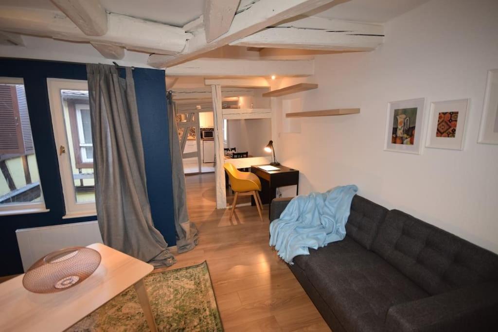 Le Studio Du Quai Des Pecheurs - Charmant Duplex Sur Les Quais Strasburgo Esterno foto