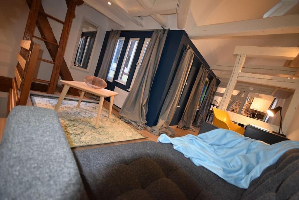 Le Studio Du Quai Des Pecheurs - Charmant Duplex Sur Les Quais Strasburgo Esterno foto