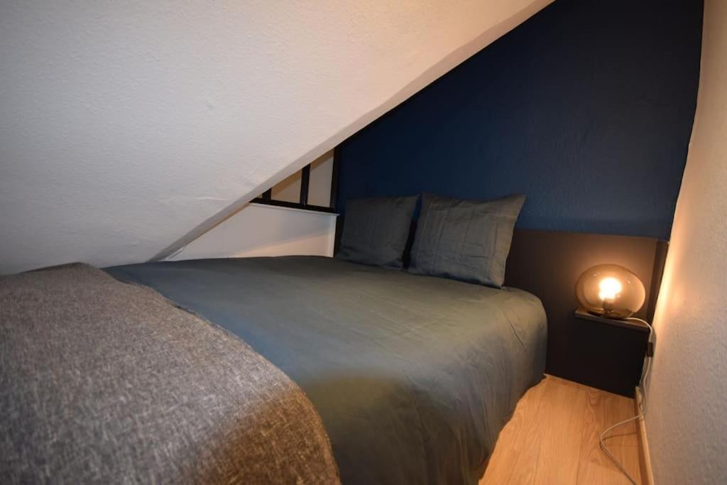 Le Studio Du Quai Des Pecheurs - Charmant Duplex Sur Les Quais Strasburgo Esterno foto